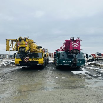 KİRALIK 250 TON MOBİL VİNÇ